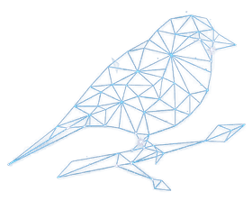 Bird in shadow